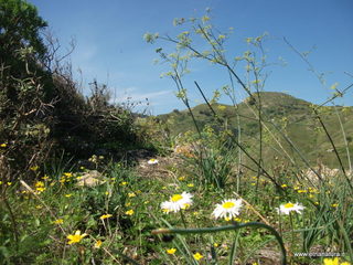 Monte_Recavallo - 11-10-2016 11-13-22.JPG